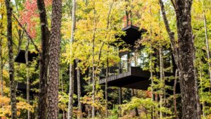 داخل نهج بلاك بيري ماونتين المرتكز على الفن في مجال العافية