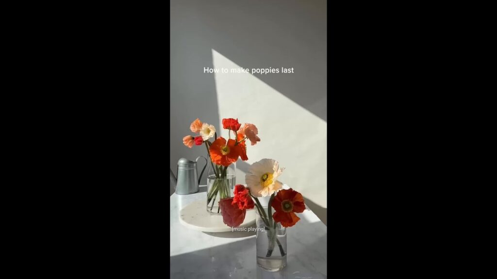 tag someone you want to give flowers to @RachelChoFloral #flowers #arrangement #poppies