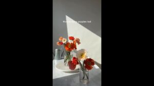 شاهد tag someone you want to give flowers to @RachelChoFloral #flowers #arrangement #poppies