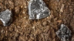 شركة ماجنوم تكتسب مشروع جبال الرطوبة للأرض النادرة في الولايات المتحدة