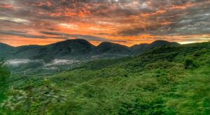 عثرت Torex على مناطق جديدة للذهب عالي الجودة بالقرب من ميديا لونا