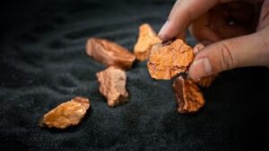 فورتسكي لشراء الـ 64% المتبقية من ألتا كوبر