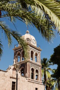 في لوريتو، المكسيك: عجائب أسماك القرش الحوتي وكلاب الصيد التي تم جمعها