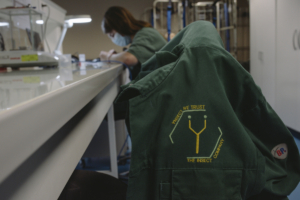 كيف حطمت الواقع شركة Ÿnsect الفرنسية الناشئة التي جمعت أكثر من 600 مليون دولار لزراعة الحشرات