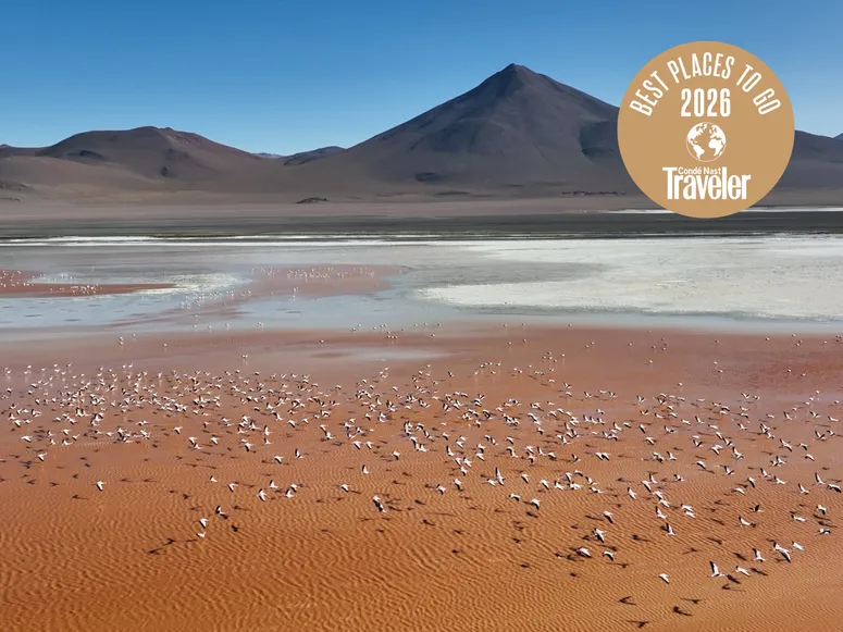 الصورة قد تحتوي على: معلم، حيوان، طائر، ولاغونا كولورادا