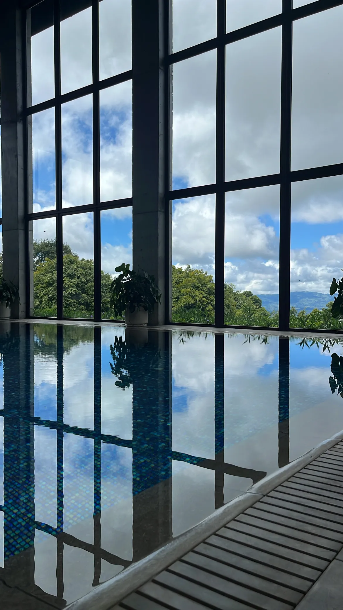 يمكن أن تحتوي الصورة على أرض نافذة فرنسية نافذة نباتات داخلية تصميم داخلي عمارة وبناء ومناظر المدينة