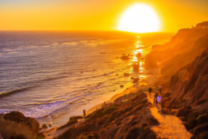 أفضل الشواطئ في كاليفورنيا للسباحة ومشاهدة الحيتان وشمس الشتاء