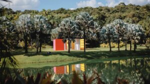 أين تسافر في 2026، وفقًا لبرجك؟