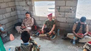 اخبار المناطق: الحييد والمسهرج يقوّمان نقاط الاستقرار والتأهب على الخط الساحلي الدولي الشرقي