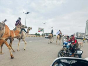 اخبار عدن – جمال تتجه نحو ساحة العروض