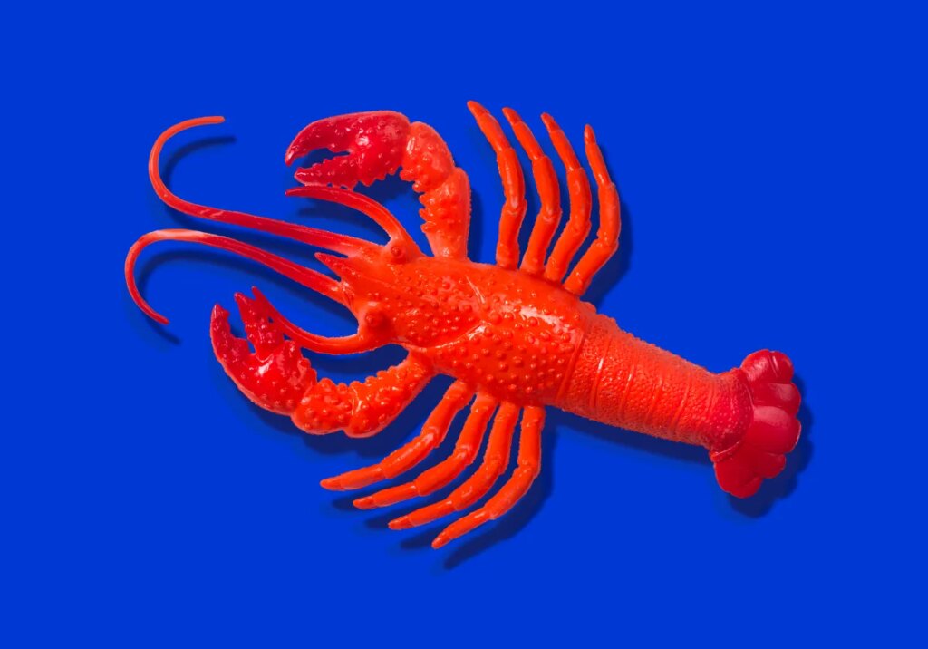Rubber lobster toy