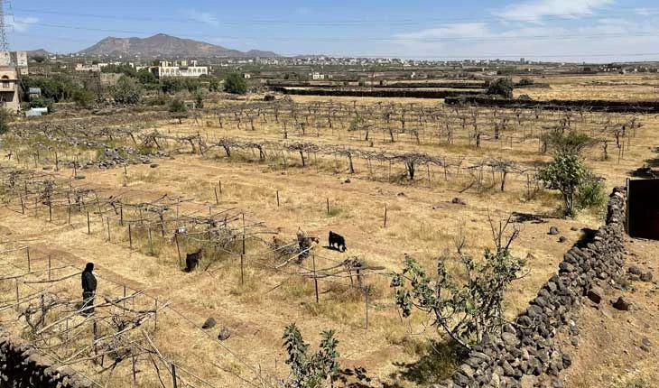 الضرائب والجفاف في المناطق المرتفعة أزمة مناخية قد تؤدي إلى