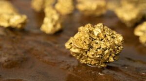 تبدأ شركة إيفرست ميتالز عمليات التعدين في مشروع جبل دايمر بواشنطن