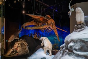 دليل منطقة السعديات الثقافية، الجزيرة الفنية في أبوظبي