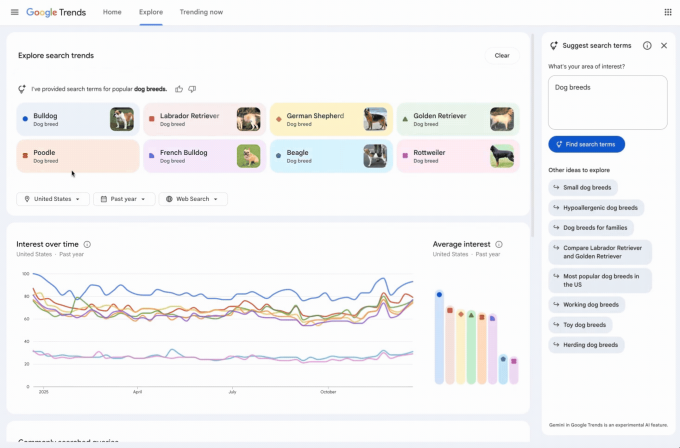 صفحة استكشاف اتجاهات جوجل تحصل على ميزات جديدة من جيميناي