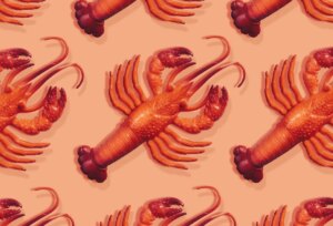 كل ما تحتاج لمعرفته عن مساعد الذكاء الاصطناعي الشخصي الفيروسي كلودبوت (الآن مولت بوت)