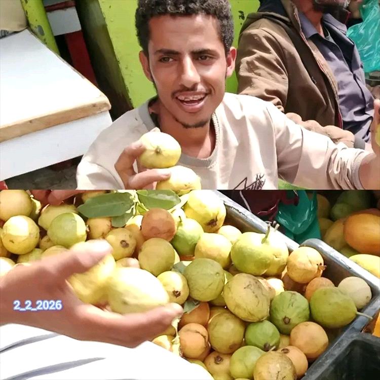 مدير إعلام ردفان