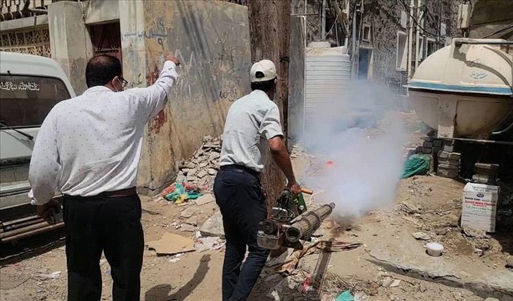 صحة البيئة بمديرية المنصورة تنفذ حملة موسعة للرش الضبابي لمكافحة البعوض
