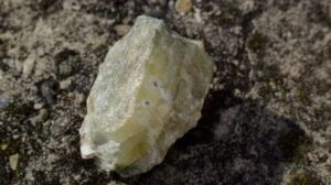 PLS توقع اتفاقية توريد السبودومين لمدة عامين مع Canmax