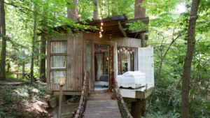 أفضل أماكن الإقامة في أتلانتا إذا كنت تبحث عن أيام بركة، متعة فيفا، أو ملاذ في غابة حضرية