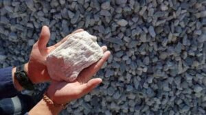 إليفرا” و”مانجروف” توقّعان مذكرة تفاهم لتوريد مادة “السبودومين