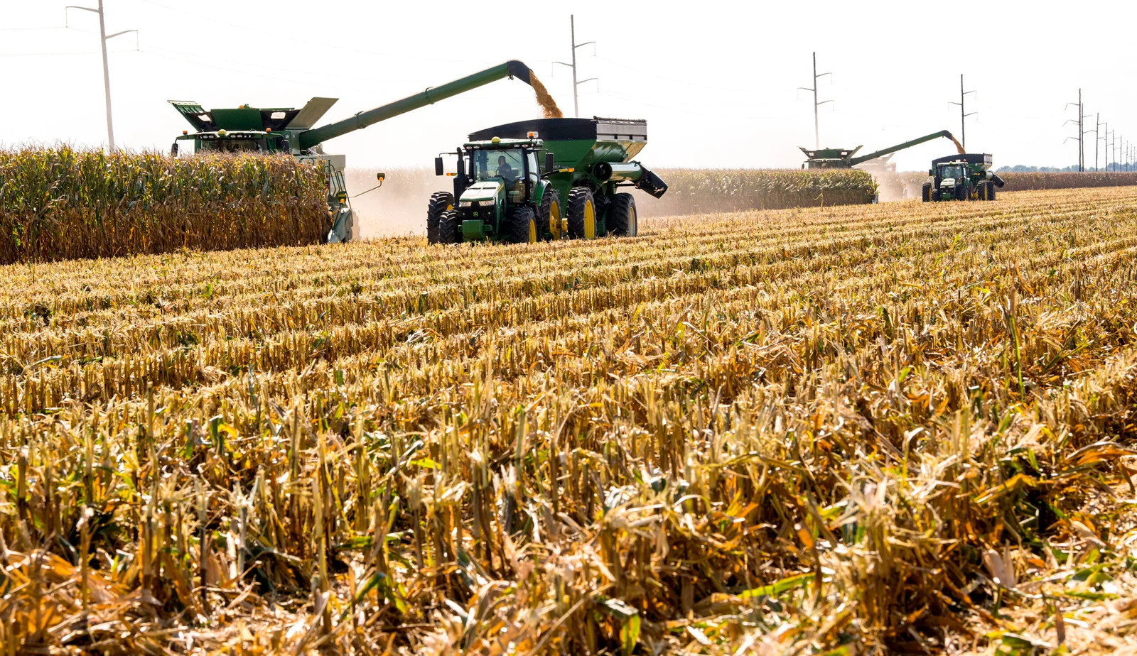 بعد تغييرات في مساحات زراعة الذرة سمعة البيانات الزراعية الأمريكية