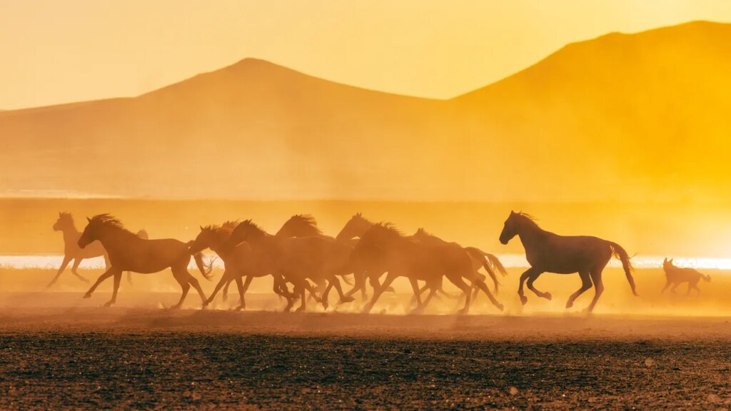 Condé Nast Traveler