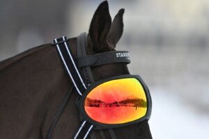 في كأس العالم للبولو على الثلج، يصل النجوم بأسلوب راقٍ إلى سانت موريتز المتجمدة