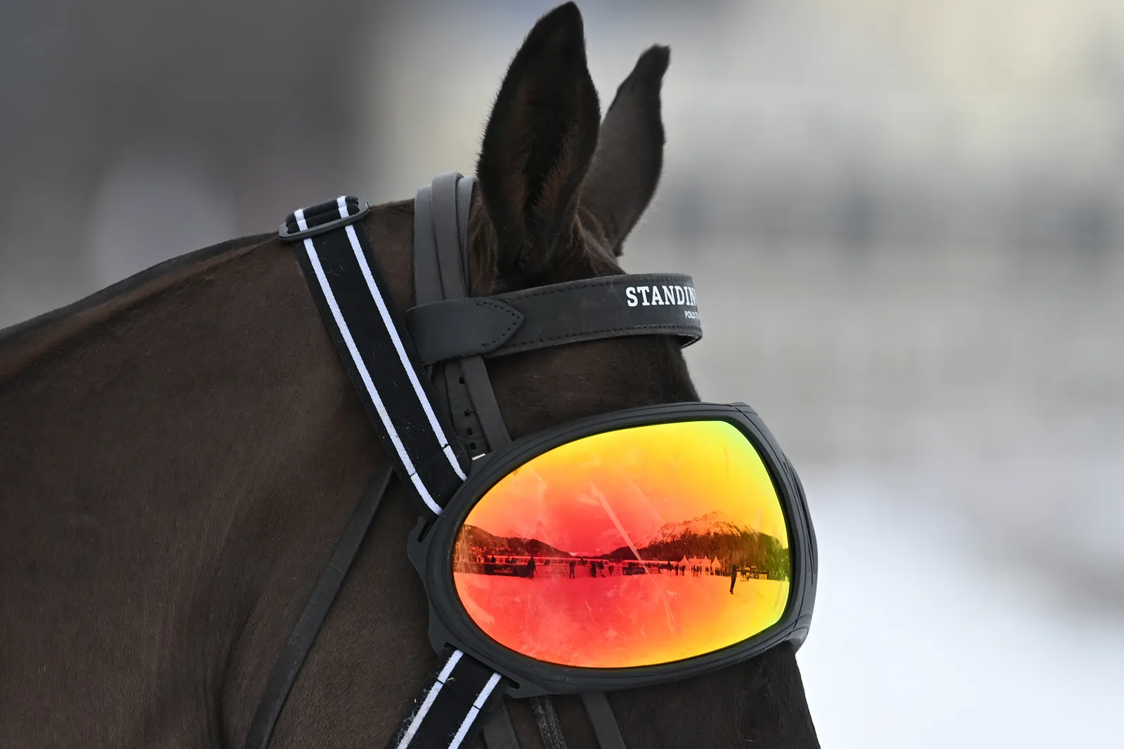 الصورة قد تحتوي على ملحقات ونظارات