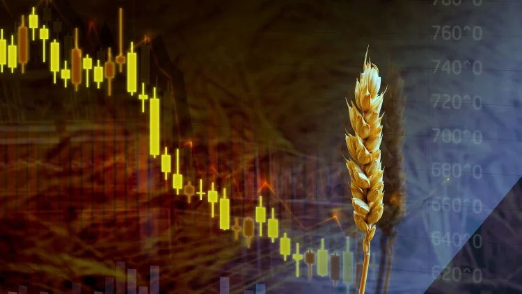 للمرة الخامسة على التوالي انخفاض الضغوط يؤدي إلى تراجع أسعار