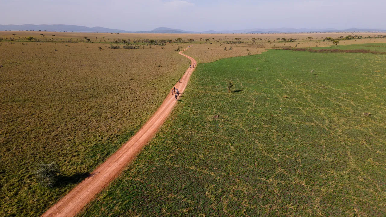 هل تعتبر رحلات الدراجات السفاري الجديدة مقابل رحلات المشي السفاري؟