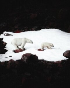 في فيوردات جرينلاند النائية ومستوطنيها الصغار، شعور جديد بالاتصال
