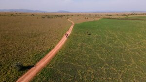 هل تعتبر رحلات الدراجات السفاري الجديدة مقابل رحلات المشي السفاري؟