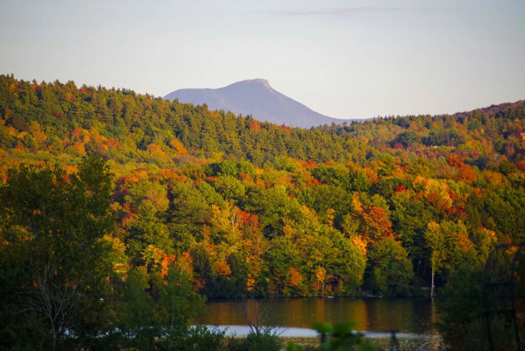 Image may contain Plant Vegetation Tree Land Nature Outdoors Woodland Scenery Lake Water Wilderness Pond and Fir