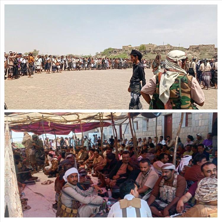 اخبار المناطق – قبيلة آل باهدى تتوسط لصالح آل حنش لحل نزاع قديم في أبين