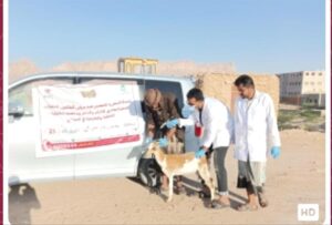 اخبار وردت الآن – مدير حبان يثني على الحملة البيطرية الشاملة لتطعيم الثروة الحيوانية في المنطقة