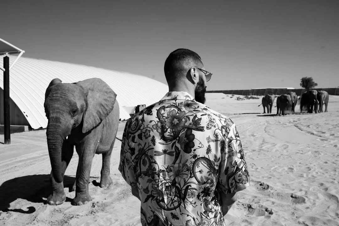 بنزيما مستمتع مع الأفيال.. والهلال يرد: «مصاب»