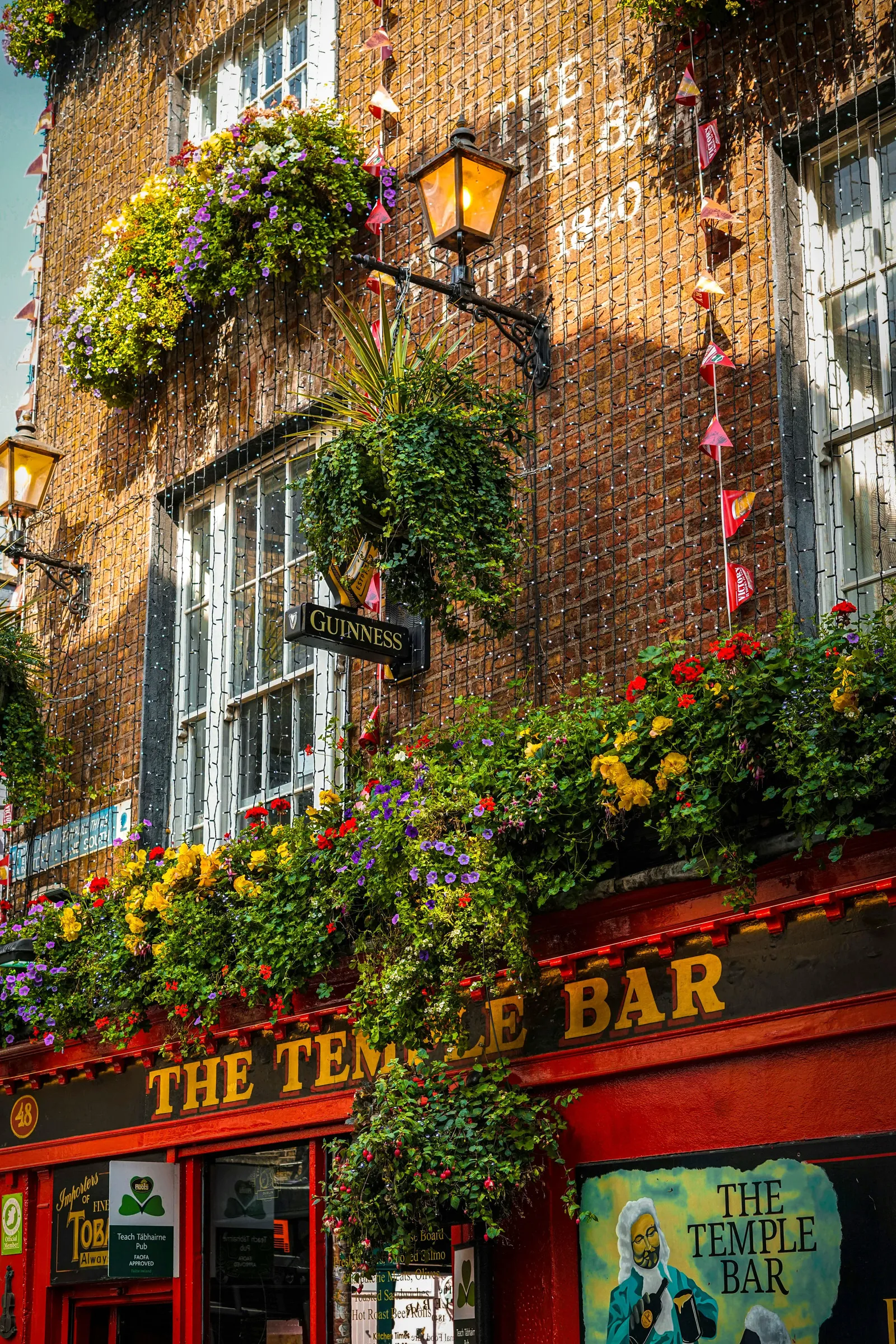 قد تحتوي الصورة على نباتات، نبات في وعاء، جرة، أصيص، خزف، وعاء، عمارة، مدينة حضرية، ونافذة