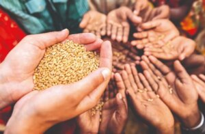 مجاعة غير مألوفة وأرقام مقلقة: تقرير أممي يكشف عن الوضع المظلم للأمن الغذائي العالمي – شاشوف