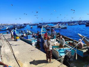 نهب منظم في الشحر: جمع 1.2 مليار ريال بشكل غير رسمي ودون مستندات – شاشوف