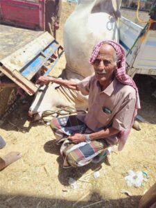 اخبار المناطق – حملات ميدانية واسعة من صحة البيئة في عتق لمتابعة الأضاحي وضمان سلامة اللحوم