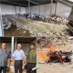 النيابة العامة تتلف كمية من الأدوية منتهية الصلاحية بعدن