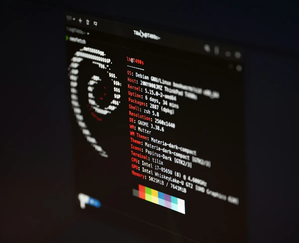 a screenshot of Debian Linux on a black screen with a white terminal font