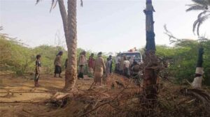 اخبار المناطق – حريق هائل ي devastates العديد من أشجار النخيل ومنازل سكنية في رضوم بشبوة