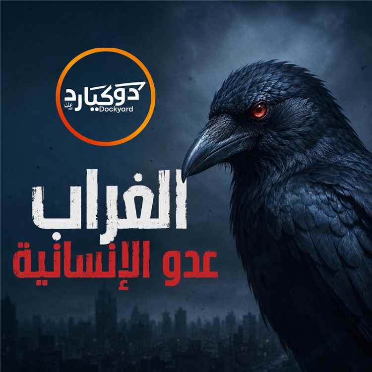 اخبار عدن – تزايد الجهود الشعبية لمواجهة الغربان في عدن وموطلبات بإشراك صندوق النظافة
