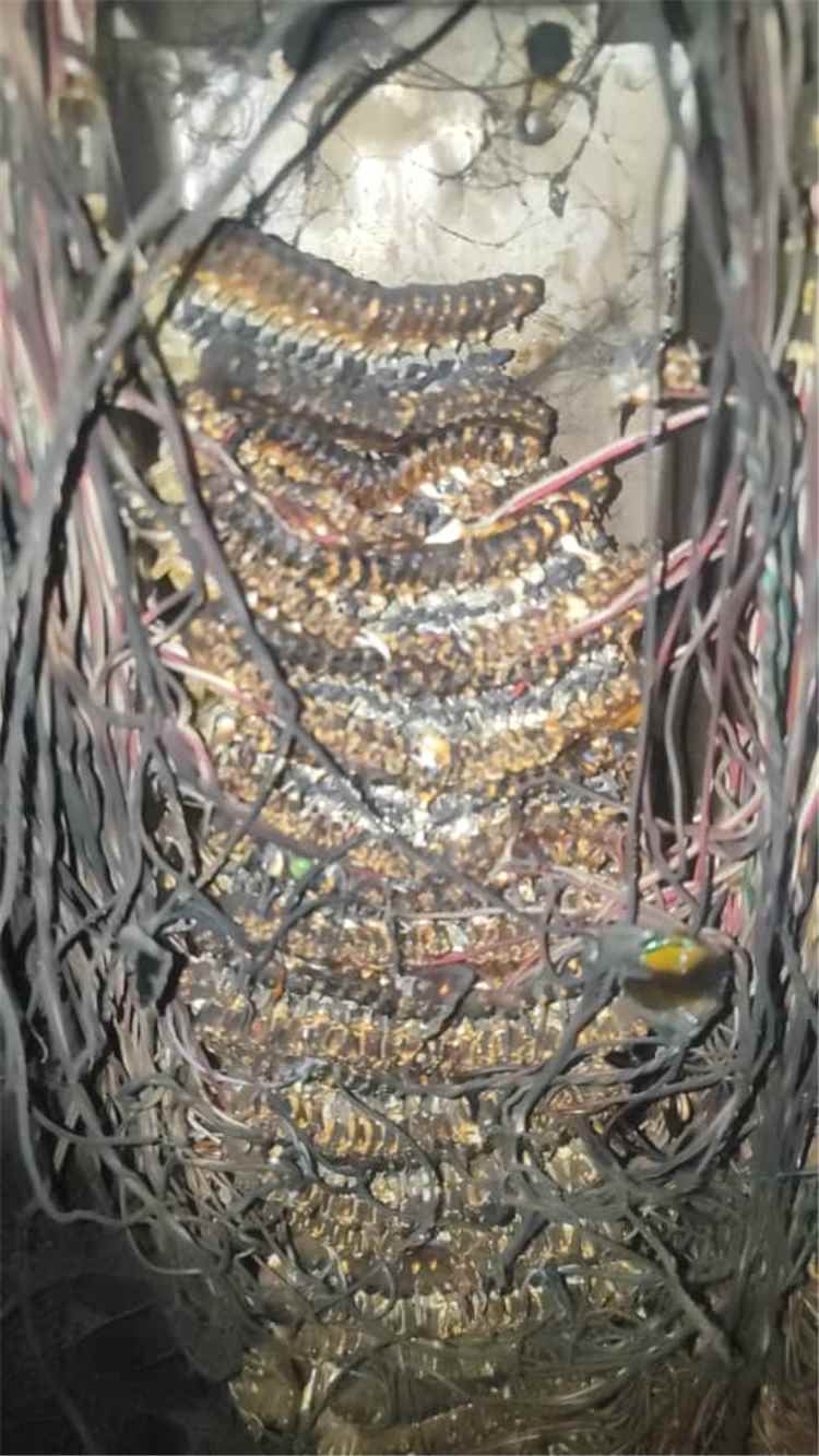 مدير إدارة خدمات المشتركين لسنترال المنصورة : بسبب الإهمال واللامبالاة حرمان ٦٠٠ شخص من خدمة الاتصالات
