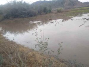 تغطية إخبارية: تساقط أمطار غزيرة في مناطق مختلفة من محافظة أبين