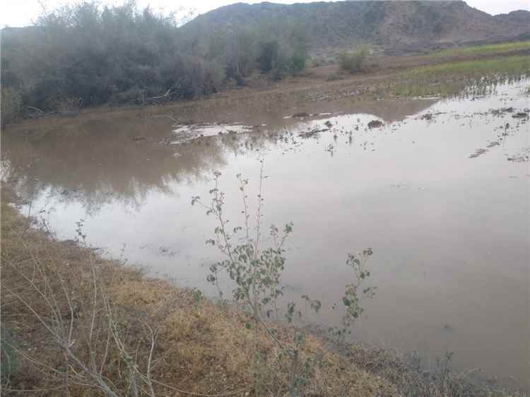 تغطية إخبارية: تساقط أمطار غزيرة في مناطق مختلفة من محافظة أبين