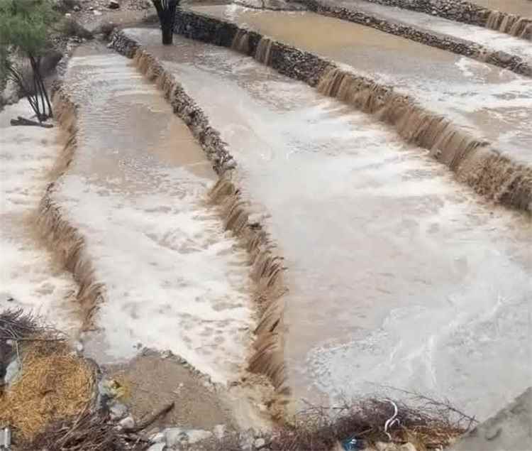 المدرجات الزراعية في يافع.. سدود طبيعية يهددها الإهمال وتستغيث للإحياء