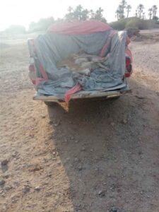 اخبار المناطق – تنفيذ وحدة النظافة والتحسين ومكتب الأشغال السنةة والطرق في مديرية القطن مشروعاً جديداً